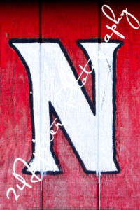 N-10(THS)